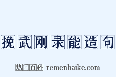 挽武刚录能造句是什么意思的图片